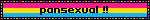 pansexual !!