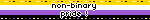 non-binary pride !