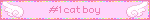 #1 cat boy