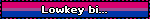 Lowkey bi…