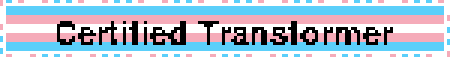 Certified Transformer