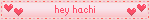 hey hachi