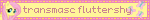 transmasc fluttershy
