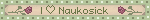 I ♡ Naukosick