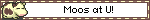 Moos at U!