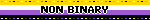 NON BINARY