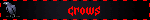 crows