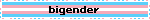 bigender