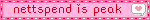 nettspend is peak