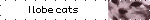 I lobe cats