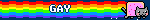 GAY