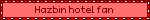 Hazbin hotel fan