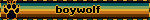 boywolf
