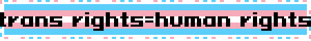trans rights=human rights