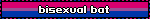 bisexual bat