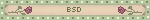 BSD