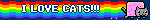 I LOVE CATS!!!