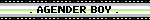 . AGENDER BOY .