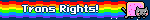 Trans Rights!