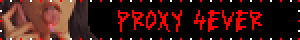 PROXY 4EVER