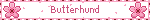Butterhund