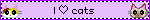 I ♡ cats