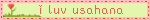 i luv usahana