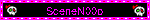 SceneN00b