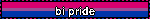 bi pride