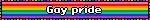 Gay pride