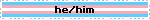 he/him