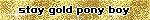 stay gold pony boy