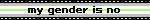 my gender is no