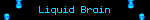 Liquid Brain