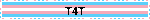 T4T
