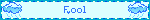 Fool