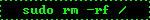 sudo rm -rf /