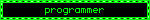 programmer