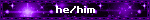 he/him