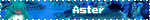 Aster