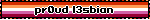 pr0ud l3sbian