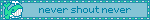 never shout never