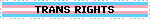 TRANS RIGHTS