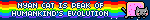 NYAN CAT IS PEAK OF HUMANKIND'S EVOLUTION