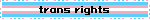 trans rights