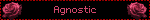 Agnostic
