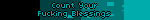 Count Your Fucking Blessings