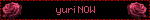 yuri NOW