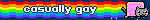 casually gay