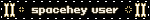 spacehey user